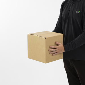 Caja de Cartón Rígido de Pared Simple 254x254x254mm, Forma de Avión, Laminación Brillante/Mate, Protección UV, Cartón Corrugado con Relieve - Product Image 2