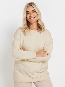 OEM/ODM Dernier design à succès, sweat à capuche zippé pour femmes - Style personnalisable, sweat à capuche uni surdimensionné 100% coton pour femmes - Product Image 4