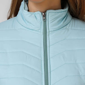 Chaqueta Acolchada con Capucha y Logotipo Personalizado 2025, Chaqueta Impermeable y Cortavientos para Invierno, Chaqueta Acolchada al por Mayor con Etiqueta Privada OEM para EE. UU. - Product Image 6