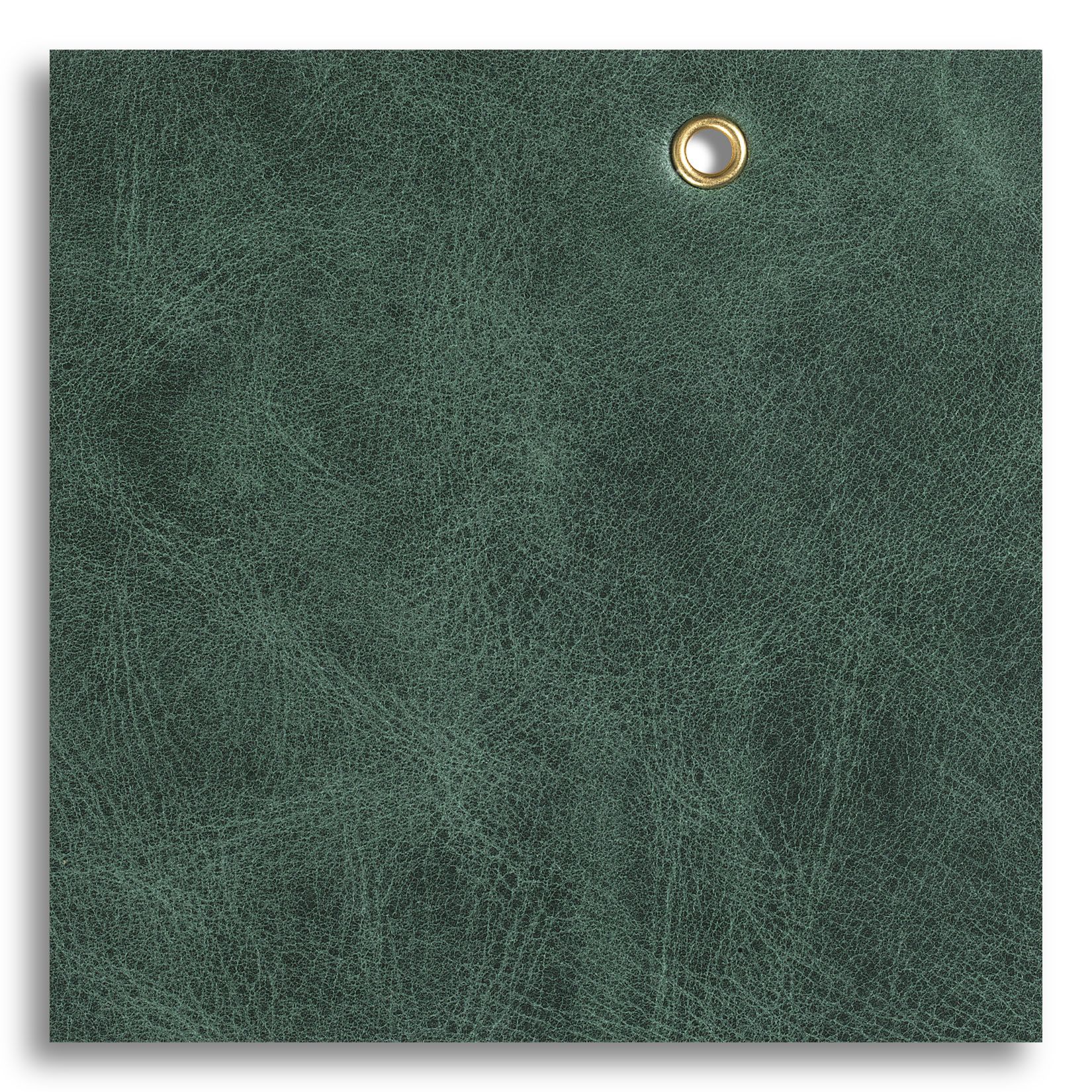 สีเขียว