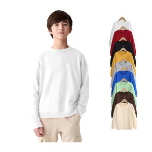 Kids Heavy Fleece Pullover Sweatshirt Cotton Blend O-Neck Graphic Print OEM Bulk Wholesale Branded High Quality Kid Comfort Wear - Product Image 1