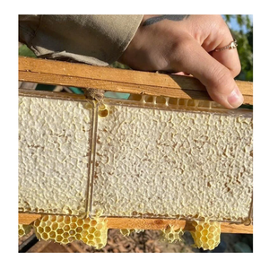 เค้กรังผึ้งธรรมชาติจากขี้ผึ้งขี้ผึ้งสีทอง - Product Image 3