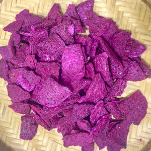 FRUTA DE DRAGÓN liofilizada de ALTA CALIDAD: FRUTA DESHIDRATADA PITAYA DE FÁBRICA DE VIETNAM, PRECIO BARATO, OEM/ODM. - Product Image 6
