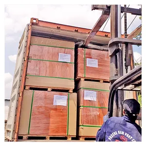 Toptan özelleştirilmiş ucuz konteyner karışık kontrplak zemin nakliye üreticisi Vietnam