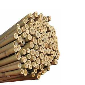 Estacas de bambú tratadas secas Bastones de bambú para soporte de plantas de jardín crudas de bambú de View Nam - Product Image 3