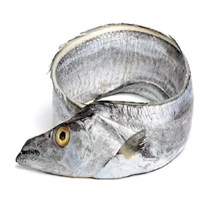 BQF Frozen fresh whole round ribbon fish for sale