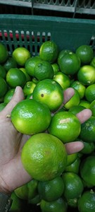 Jus de citron vert frais sans pépins 100%-Idéal pour les boissons et les cocktails - Product Image 3