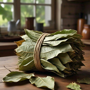 Los mejores productos agrícolas de Vietnam Hojas de Guanábana recién secas de forma natural y a un precio económico - Product Image 6