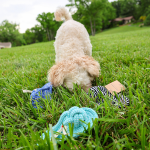 Jouets à mâcher pour animaux de compagnie en forme de pantoufle, jouets en corde pour que les chiens puissent jouer - Product Image 3
