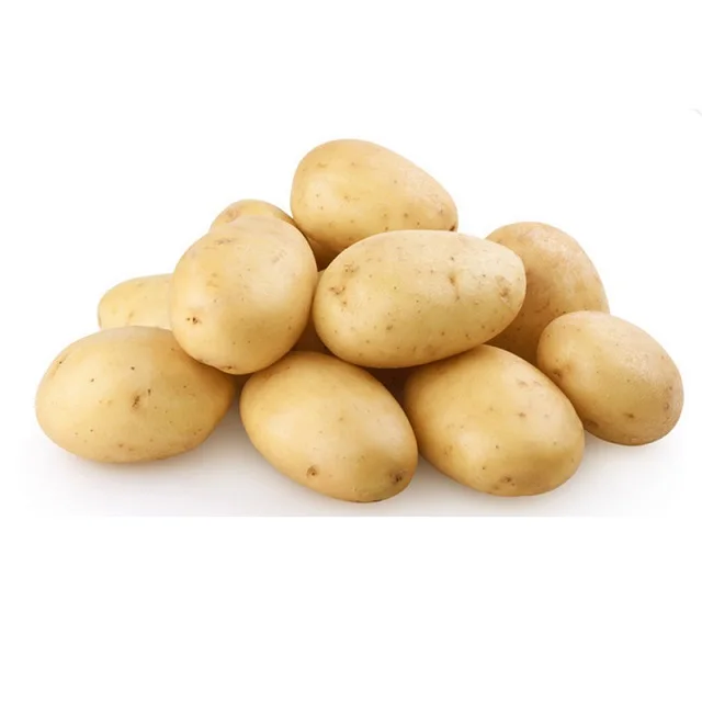 Vietnam Farm High Quality Fresh Vegetable Organic Cultivation Fresh Potatoes With High Export Standards