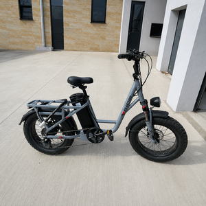 Bicicleta Eléctrica de Montaña con Llantas Gruesas de 20" x 4", Motor Integrado sin Escobillas de Litio, 7 Velocidades, Cuadro de Aleación de Aluminio, Doble Suspensión - Product Image 1