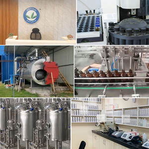 Venta al por mayor de aceite esencial de geranio 100% Natural y orgánico a granel proveedor de aromaterapia, Cosméticos exportador indio OEM Etiqueta Privada - Product Image 6