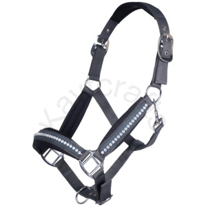 Collier de tête de cheval en polypropylène rembourré avec ajustement réglable et raccords argentés - Product Image 2