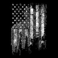 T-shirt patriotique personnalisé USA, coupe classique, manches courtes, imprimé DTG, 200 grammes, 100% coton, séchage rapide pour homme, vente chaude