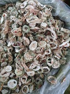 Rodajas de Melón Amargo Deshidratado Natural Premium – Vegetal Deshidratado Puro para Té y Suplementos para la Salud - Product Image 6