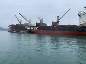 CEM II - 42.5N - ATZ Ciment Portland Mortier mélange de béton sec Ciment vietnamien VN - Product Image 2