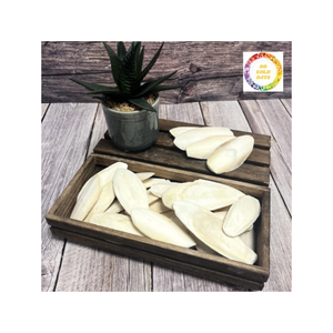 กระดูกปลาหมึกสำหรับนกและสัตว์เลื้อยคลานที่อุดมไปด้วยแคลเซียมรองรับกระดูกที่ดีต่อสุขภาพจะงอยปากและการวางไข่ - Product Image 5