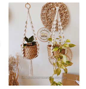 Indoor Garden Plant Holder Customized Macrame Plant Hanger for <b>Wall</b> and Window Decoration - Product Image 1