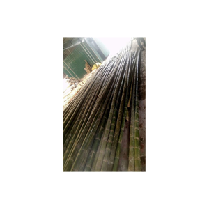 Tube de poteaux en bambou naturel pour l'aménagement paysager et le jardin Caractéristiques Tube de poteau en bambou droit et uniforme exportateur 99gd - Product Image 6