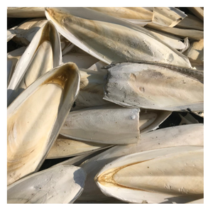 激安！99D カットルフィッシュボーン（ベトナム産）均一サイズ加工済み、バルク輸出、競争力のある卸売価格 - Product Image 1