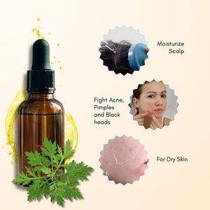 La empresa líder en la India fabrica el mejor suministro al por mayor de aceite esencial de Armoise con tipo de compuesto de precio competitivo - Product Image 2