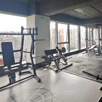 Machine à exercices pour les bras à charge libre BN Commercial pour salle de sport, club de fitness, studio de fitness, salle de sport de prestige, machine à curls