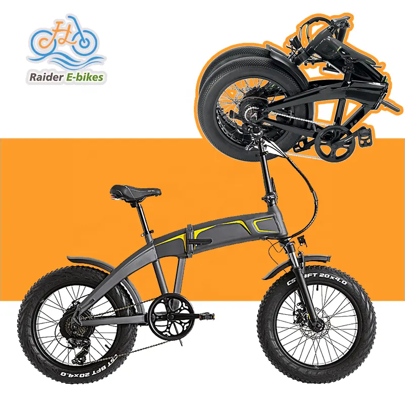 Raider katlanabilir Ebike en iyi katlanır elektrikli bisikletler 20 "commuting ve şehir şehir şehir banliyö Ebike için 750w elektrikli şehir bisikleti