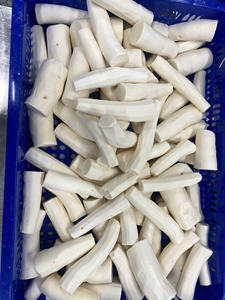 Délicieux manioc congelé du Vietnam pour garnitures de pâtisserie ou recettes de desserts créatifs, offrant un goût et une texture tropicaux uniques. - Product Image 2