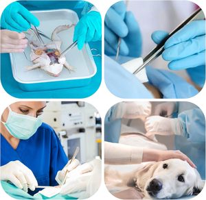 ชุดผ่าตัดสำหรับนักเรียนชุดผ่าตัดฝึกหัดเล็กๆน้อยๆพร้อมผลิตภัณฑ์หลากหลายและใบมีดเครื่องมือแพทย์เครื่องมือผ่าตัด - Product Image 5