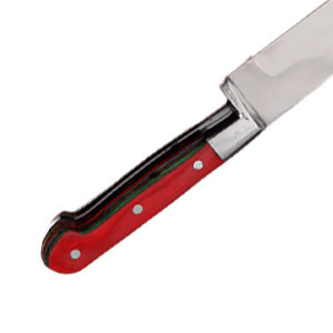 Cuchillo de Carne de Acero Inoxidable para Chef, Hecho a Mano, Duradero, Orientación de Mano Ajustable, Acabado Pulido, Tamaño y Logotipo Personalizados - Product Image 6