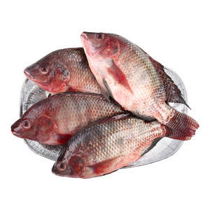 Pescado Tilapia Negro Entero Congelado, Preservación IQF, Bajo en Carbohidratos, Grado A, Empacado a Granel, Calidad de Exportación, En Venta - Product Image 1