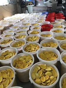 มะม่วงอบแห้งคุณภาพสูง หวาน นุ่ม ชิ้นใหญ่ ผลิตโดยช่างฝีมือ ราคาโรงงาน มาตรฐานการส่งออกเกษตรเวียดนาม/ ANNA DO VILACONIC - Product Image 3