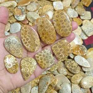 Lote de coral fósil natural, cabujón, lote de cristal pulido, lote a granel de coral fósil de calidad superior, lote de joyería de coral fósil baja - Product Image 3