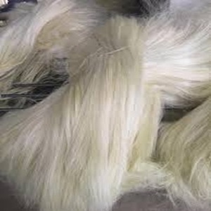 Fibra de sisal natural de grado superior para aplicaciones industriales a precios asequibles - Product Image 3