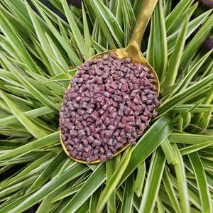 Gránulos de Resina de Grado de Inyección LDPE4, Bolsa Dorada, Asociación Limitada, Máquina de Peletización de Plástico de Tailandia, Gránulos de Resina de Grado de Película Colorida - Product Image 1