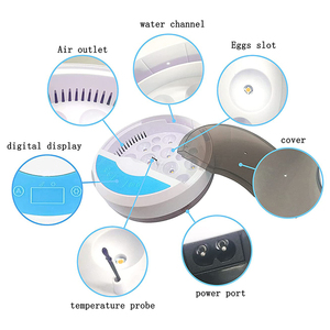 Wonegg Trung Quốc tốt nhất người bán hoàn toàn tự động mini 9 gà vịt ngỗng trứng lồng ấp nở Máy ấp - Product Image 6