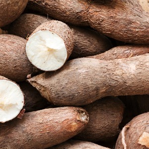 Manioc frais à haute teneur en amidon Manioc frais naturel en vrac Parfait pour la transformation industrielle et la distribution en gros - Product Image 1