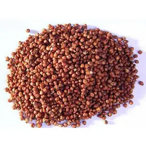 Zusätzliche Rabatte Preis WHITE SORGHUM Red Sorghum Sorghum Grains Zum Verkauf angeboten