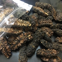 ESSENCE DE PLANTE TRANCHE NONI/LIGNE DE FORMULE PROPRE/FORME SÉCHÉE