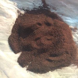 Farine de sang bovin (60%-85% de protéines) de qualité supérieure, farine de sang de volaille - Composants naturels de qualité supérieure pour bovins et chiens - Emballage en vrac - Product Image 3