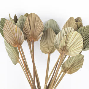 Herramienta de torneado de arreglo de algodón hecha de material de algodón duradero - Product Image 1