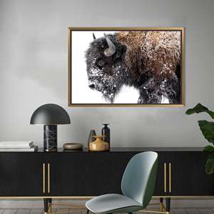 Elegante Impresión en Lienzo de Bisón Invernal: Arte de la Vida Silvestre Americana, Lienzo con Marco Dorado - Product Image 1