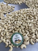 Noix de cajou traitée, vente de sac vietnamien, Style court, bon emballage, origine brute rapide, Type sous vide, qualité élevée, qualité séchée, prix étain