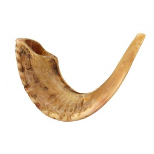 100% โคเชอร์ธรรมชาติแท้แกะ shofar ฮอร์นดนตรีชาวยิวไม่มีกลิ่นของขวัญสำหรับผู้หญิงและผู้ชาย - Product Image 6