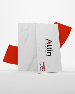 60x120 cm Granite cái nhìn sứ gạch ceramic binaka grey Matt kết thúc cao cấp chất lượng 600x1200 mét gạch cho phòng khách & phòng - Product Image 1