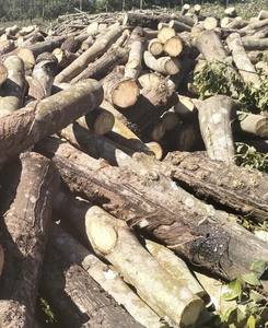 Vietnamese Origin Natural Wooden Piles <b>Garden</b> <b>Supplies</b> - Product Image 2