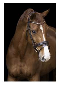 Venta al por mayor precio barato calidad superior Real cuero caballo brida caballo filete cuero brida diseño personalizado precio barato al por mayor - Product Image 2