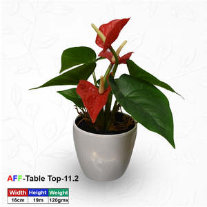 Plante artificielle succulente tropicale Anthurium en pot pour table - Product Image 1