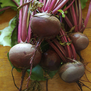 บีทรูทสีแดงที่มีคุณค่าทางโภชนาการสูง: ขายดีผักที่ใช้ทั่วไปที่เต็มไปด้วยเหล็กฟอสฟอรัสและโพแทสเซียม - Product Image 4