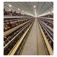 Poulailler à bas prix MT pour 10 000 oiseaux, cages à poules pondeuses, poulailler à œufs de poulet à vendre en Afrique du Sud